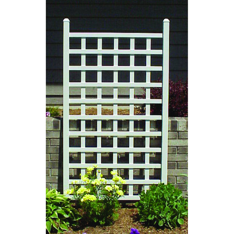 August Grove® Keghon 66'' H x 35'' W Vinyl Lattice Panel Trellis & Reviews Wayfair